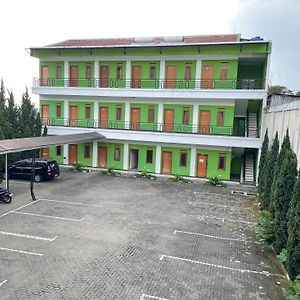 Hotel Cemara Hijau